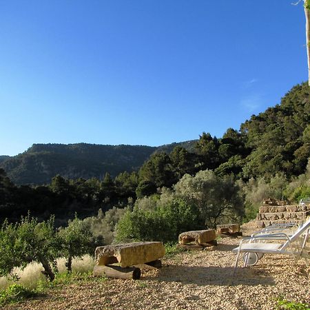 Mirabo De Valldemossa מראה חיצוני תמונה