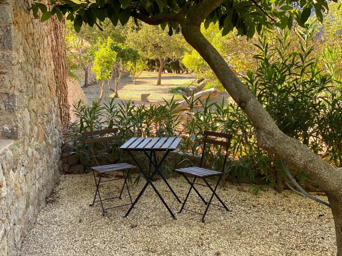 Mirabo De Valldemossa מראה חיצוני תמונה